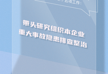 12345，1234567！@企業(yè)主要負(fù)責(zé)人